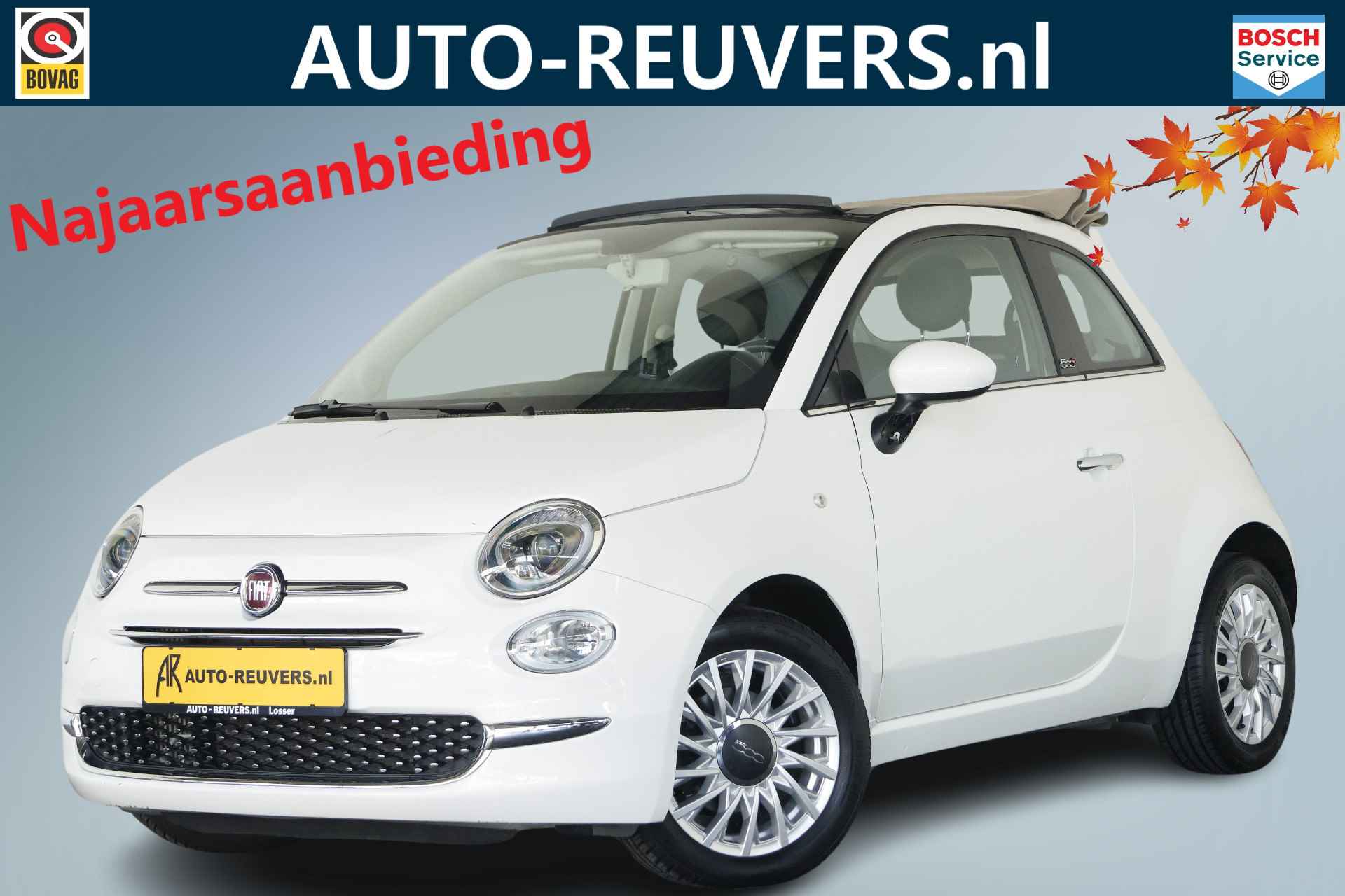 Fiat 500C BOVAG 40-Puntencheck