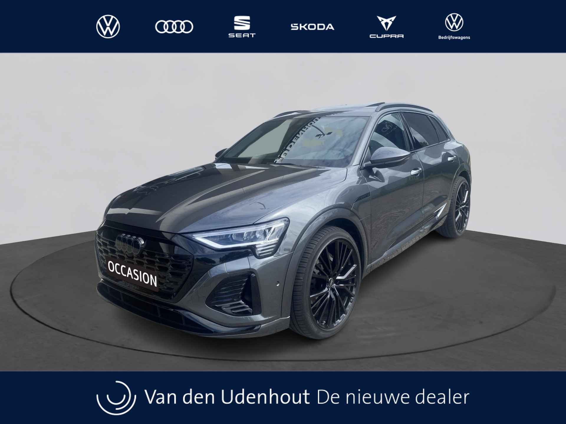 Audi Q8 e-tron BOVAG 40-Puntencheck