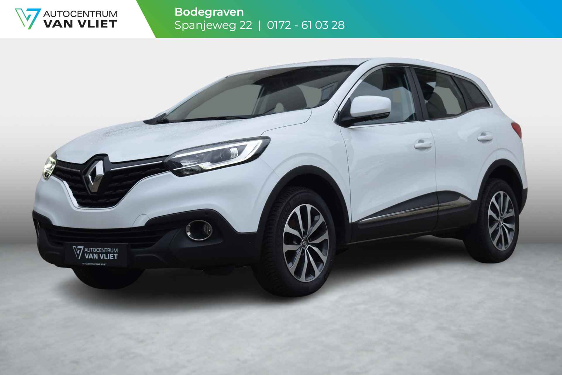 Renault Kadjar BOVAG 40-Puntencheck