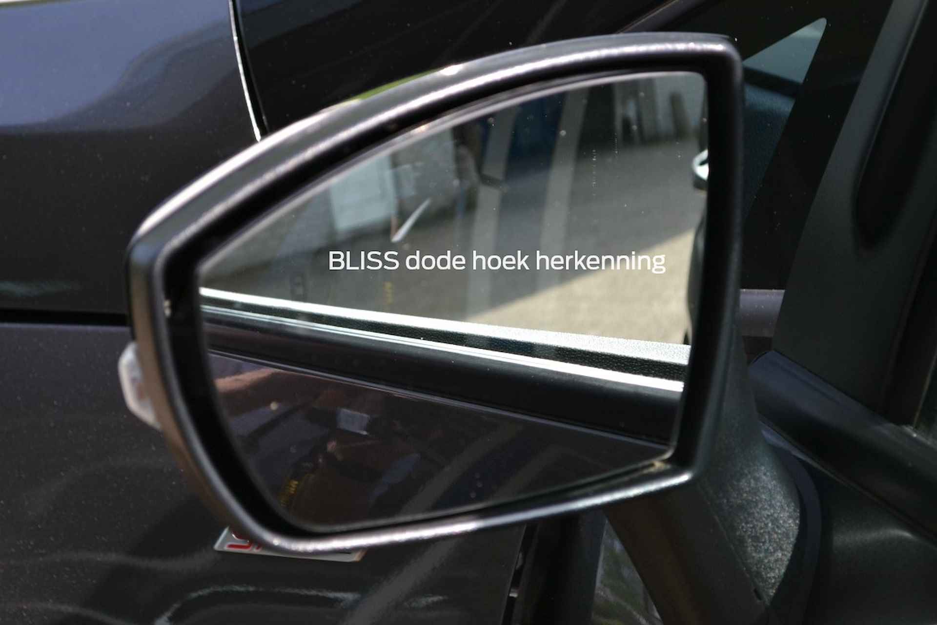 Ford Ecosport 1.0T 125pk ECOBOOST ST-Line | B&O, navigatie, privacy glass - 33/42