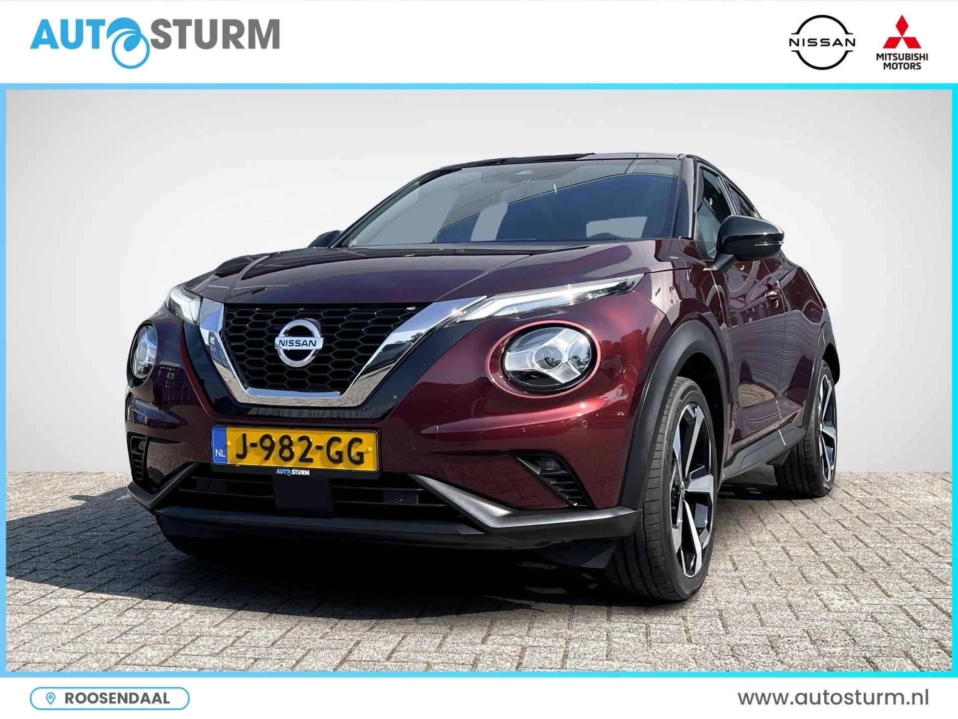 Nissan Juke BOVAG 40-Puntencheck