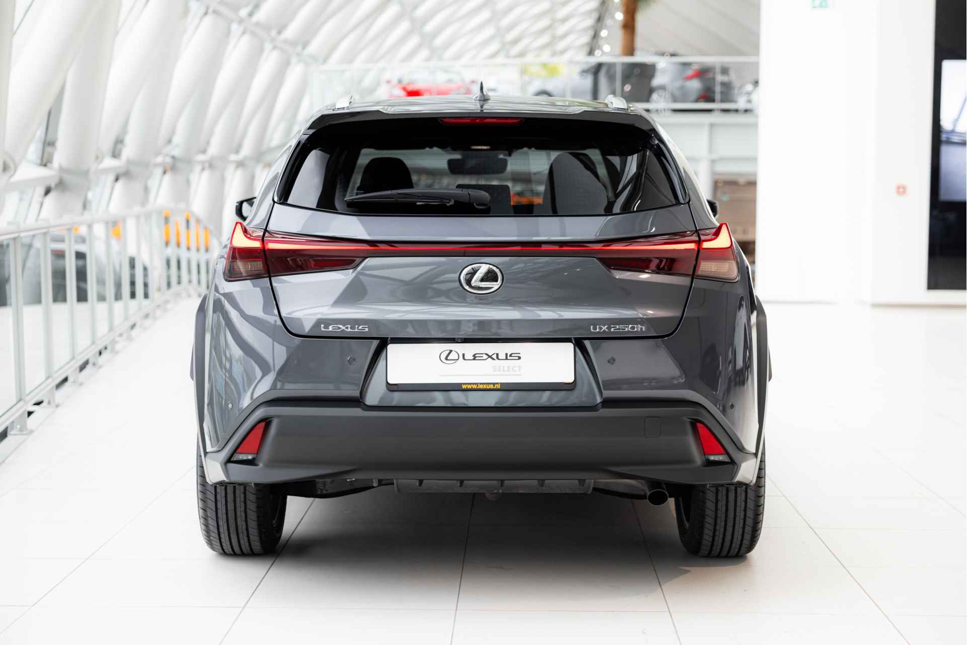 Lexus UX 250h Business Line | Achteruitrijcamera | Climate Control | Parkeersensoren | PhoneConnect | - 51/56