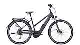 PEGASUS Solero EVO 9 (500wh) Mixed Black Matt 28" 50cm 2024