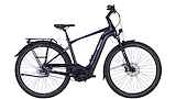 PEGASUS Premio EVO 5F Lite Belt 750WH Heren Saphire Black/black Matt 28" 55cm 2024