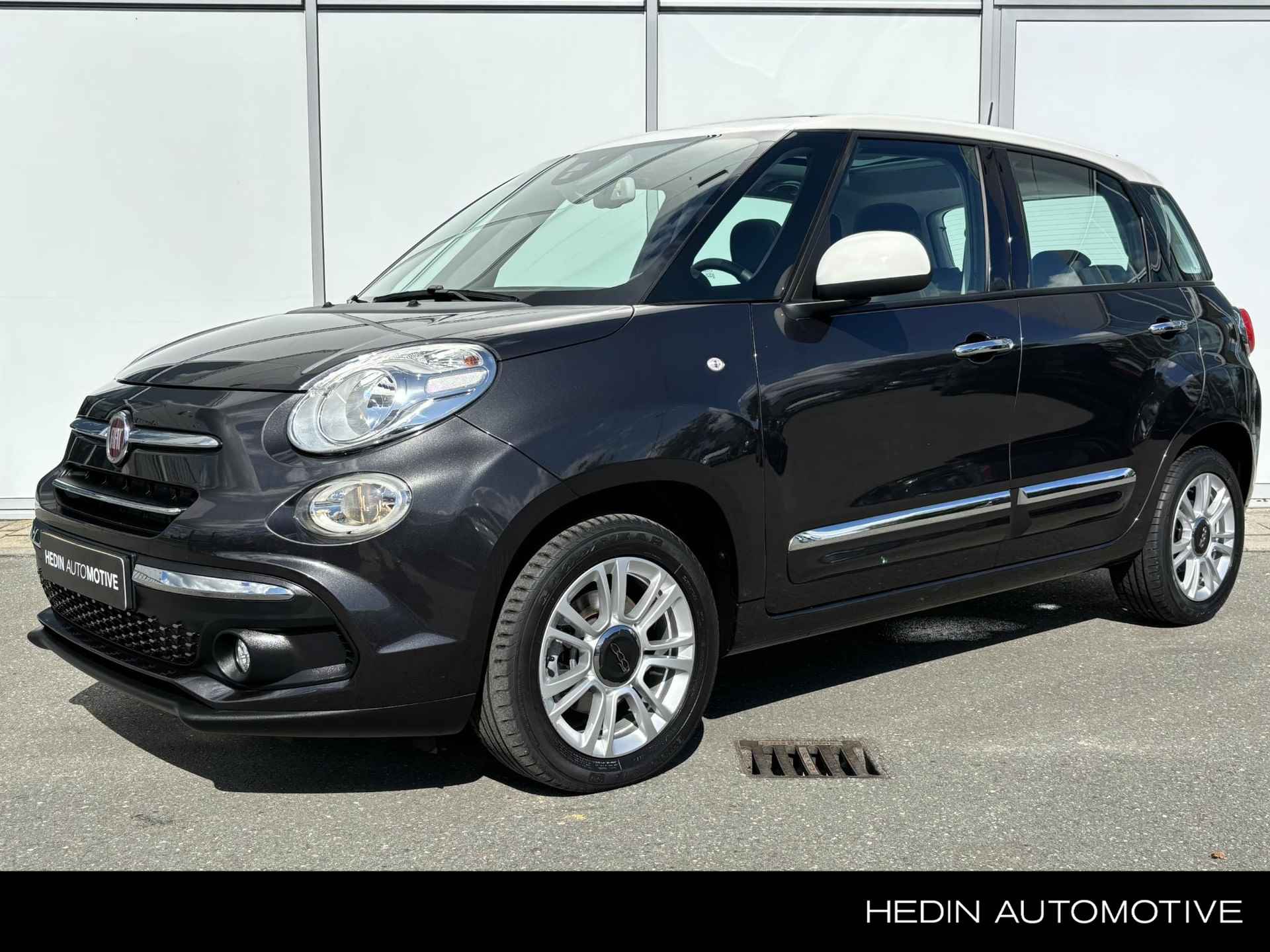 Fiat 500L BOVAG 40-Puntencheck