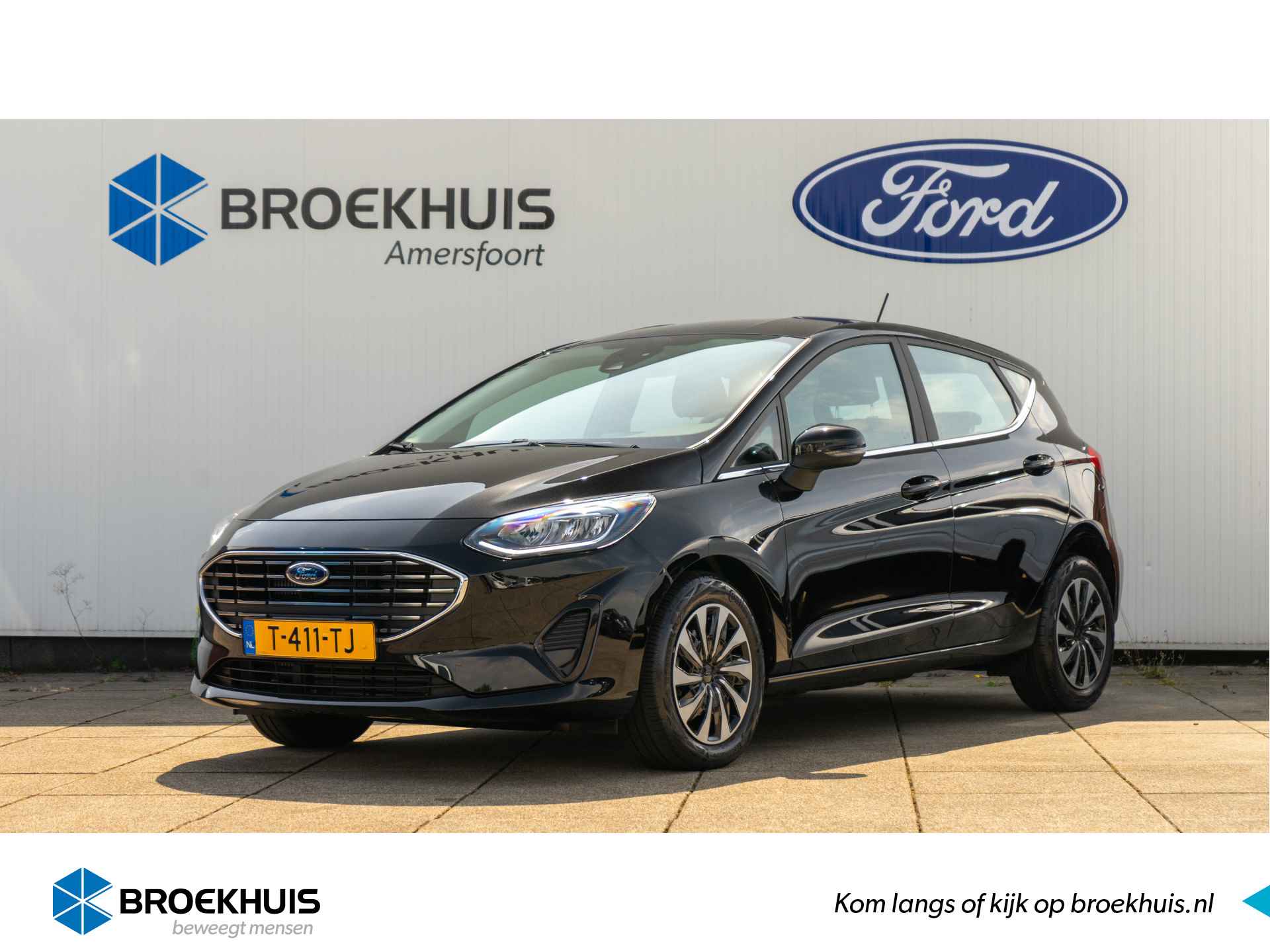 Ford Fiesta BOVAG 40-Puntencheck