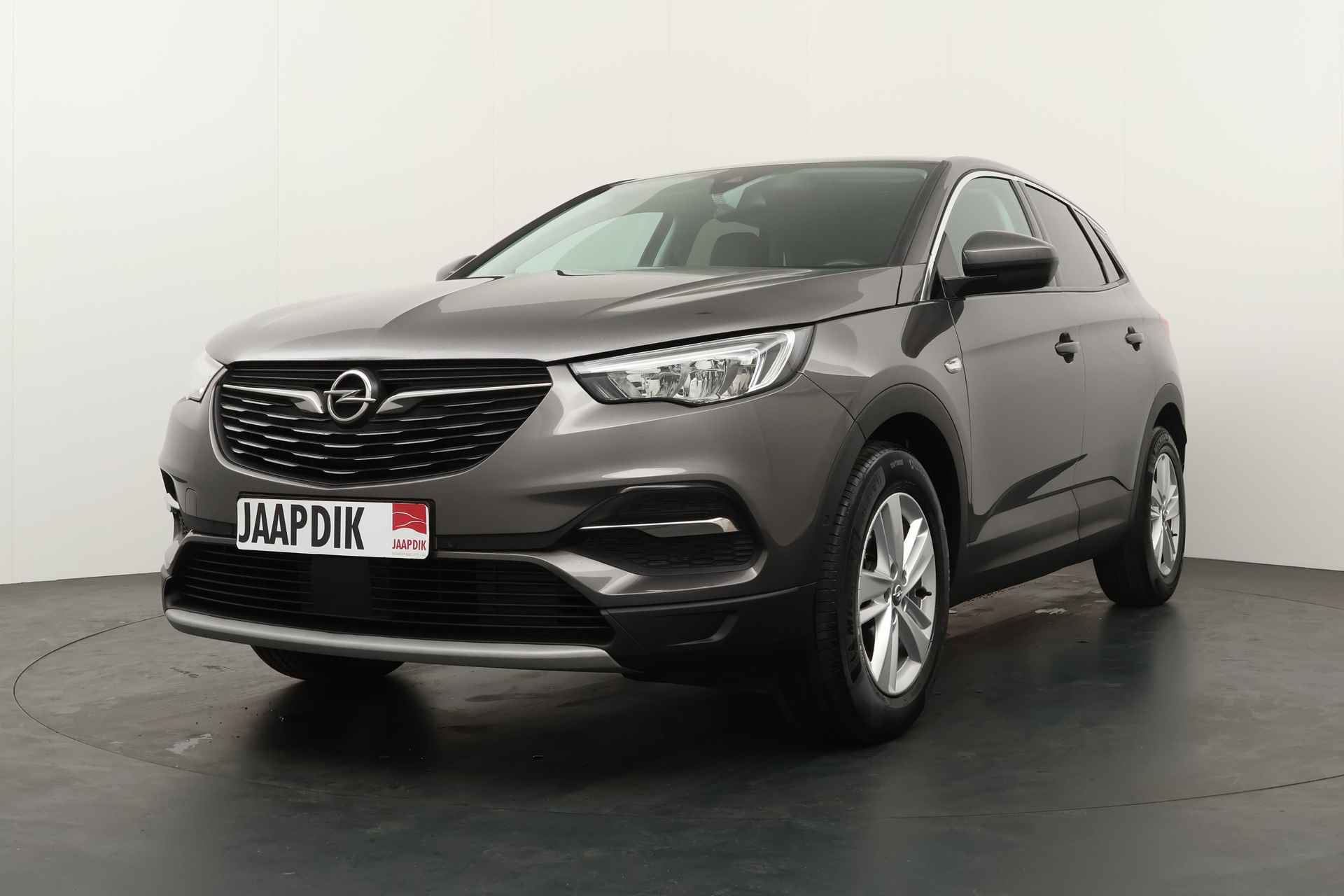 Opel Grandland X BOVAG 40-Puntencheck