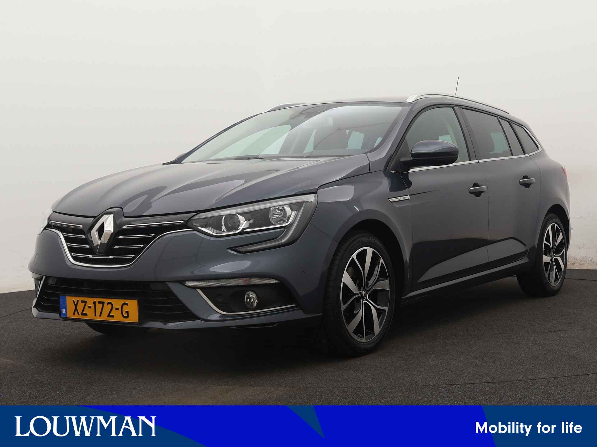 Renault Megane BOVAG 40-Puntencheck