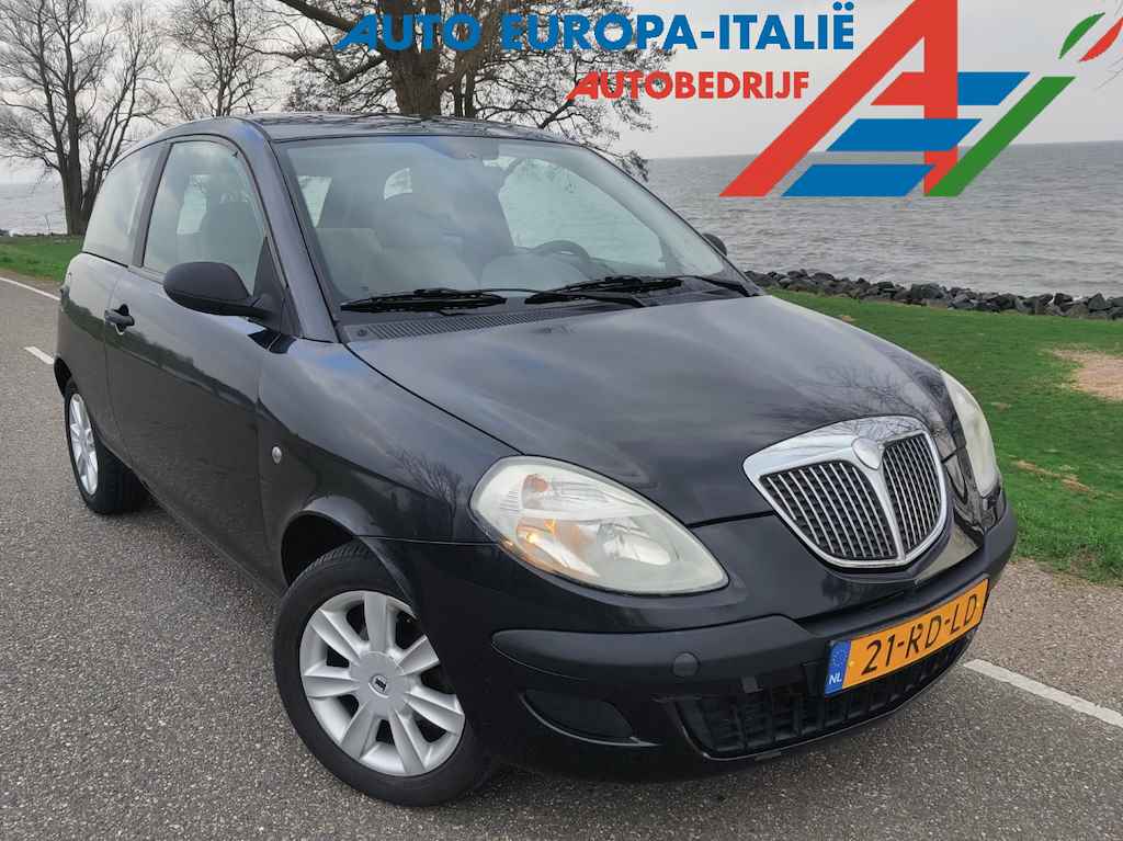 Lancia Ypsilon BOVAG 40-Puntencheck