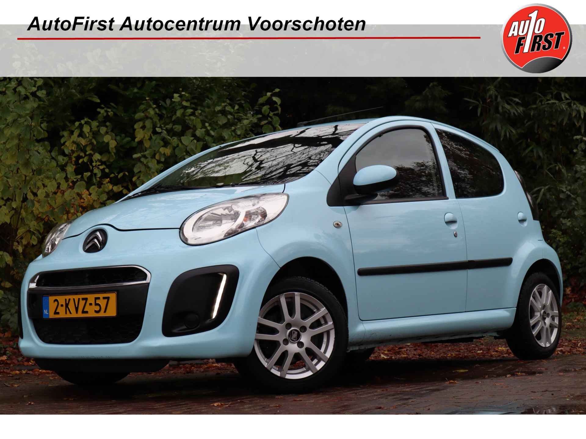 Citroën C1 BOVAG 40-Puntencheck