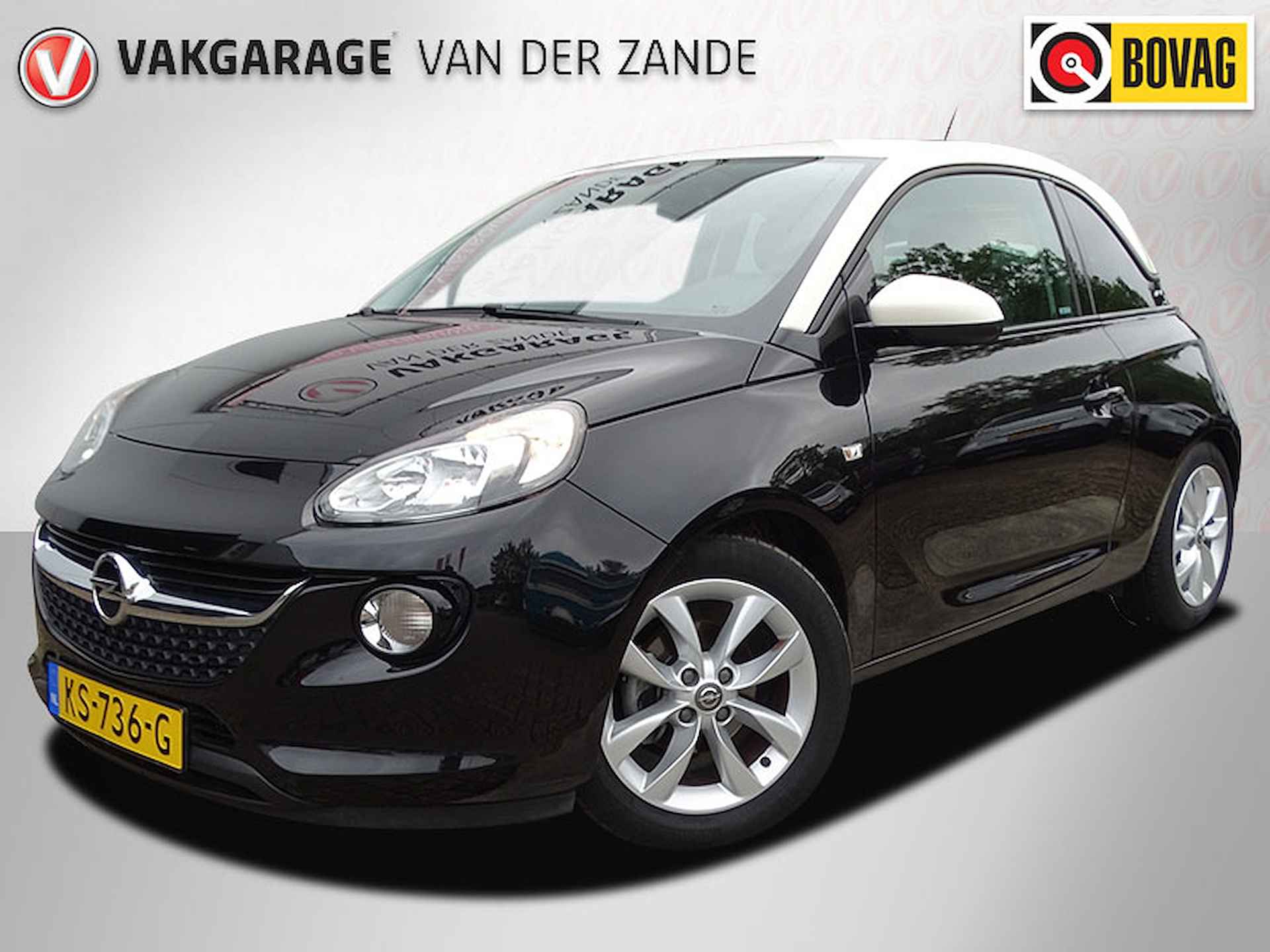 Opel Adam BOVAG 40-Puntencheck