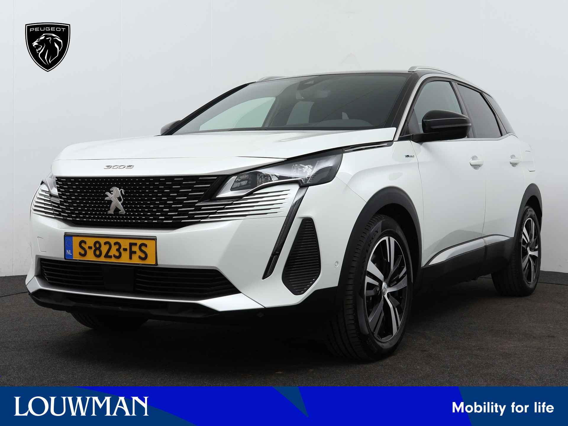 Peugeot 3008 BOVAG 40-Puntencheck