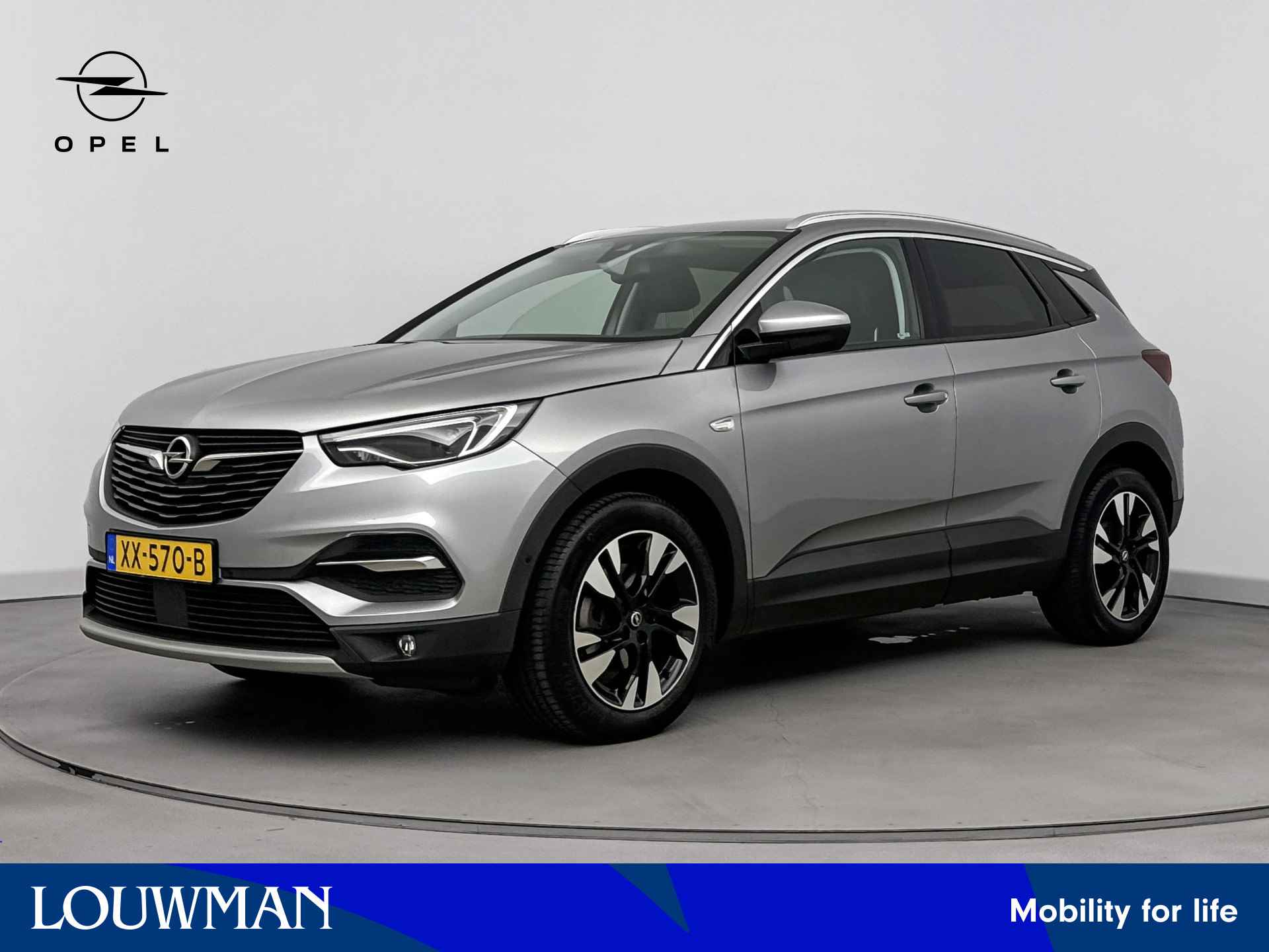 Opel Grandland X BOVAG 40-Puntencheck