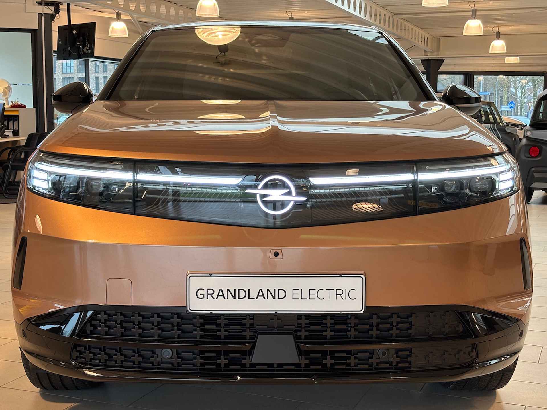 Opel Grandland | ELECTRIC GS | 73 kWh 213 PK | PANO SCHUIF DAK | 360 CAMERA | - 25/29