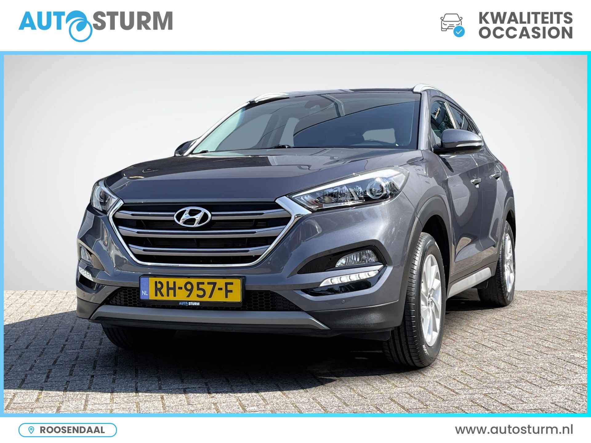 Hyundai Tucson BOVAG 40-Puntencheck