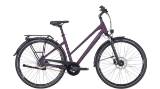 PEGASUS Premio SL Disc 8 Anniversary Mixed Deep Berry Matt 28" 60cm 2022