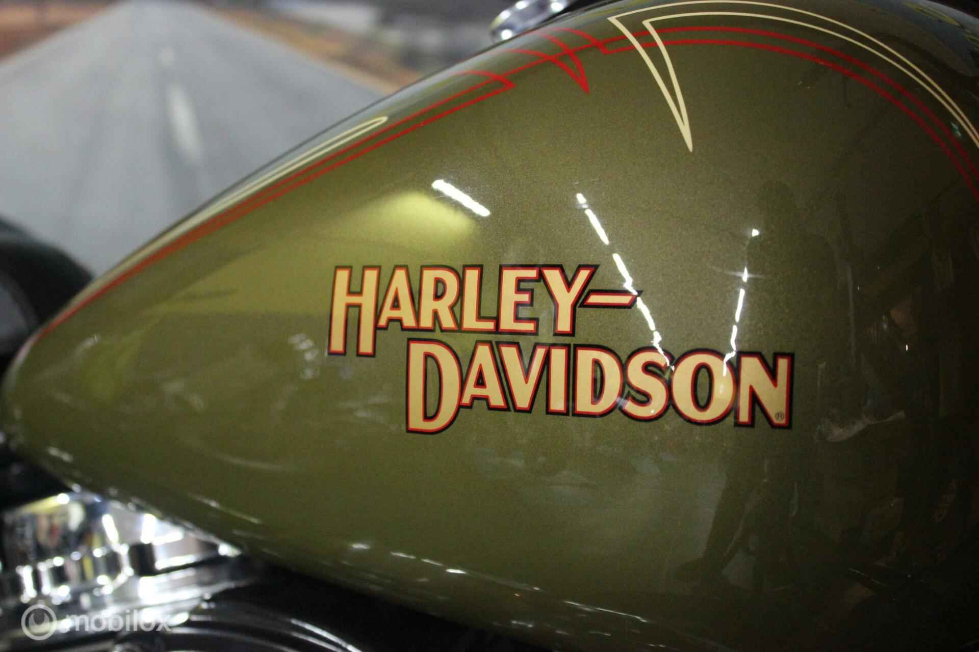 Harley Davidson 96 FLSTSB Cross Bones - 4/12