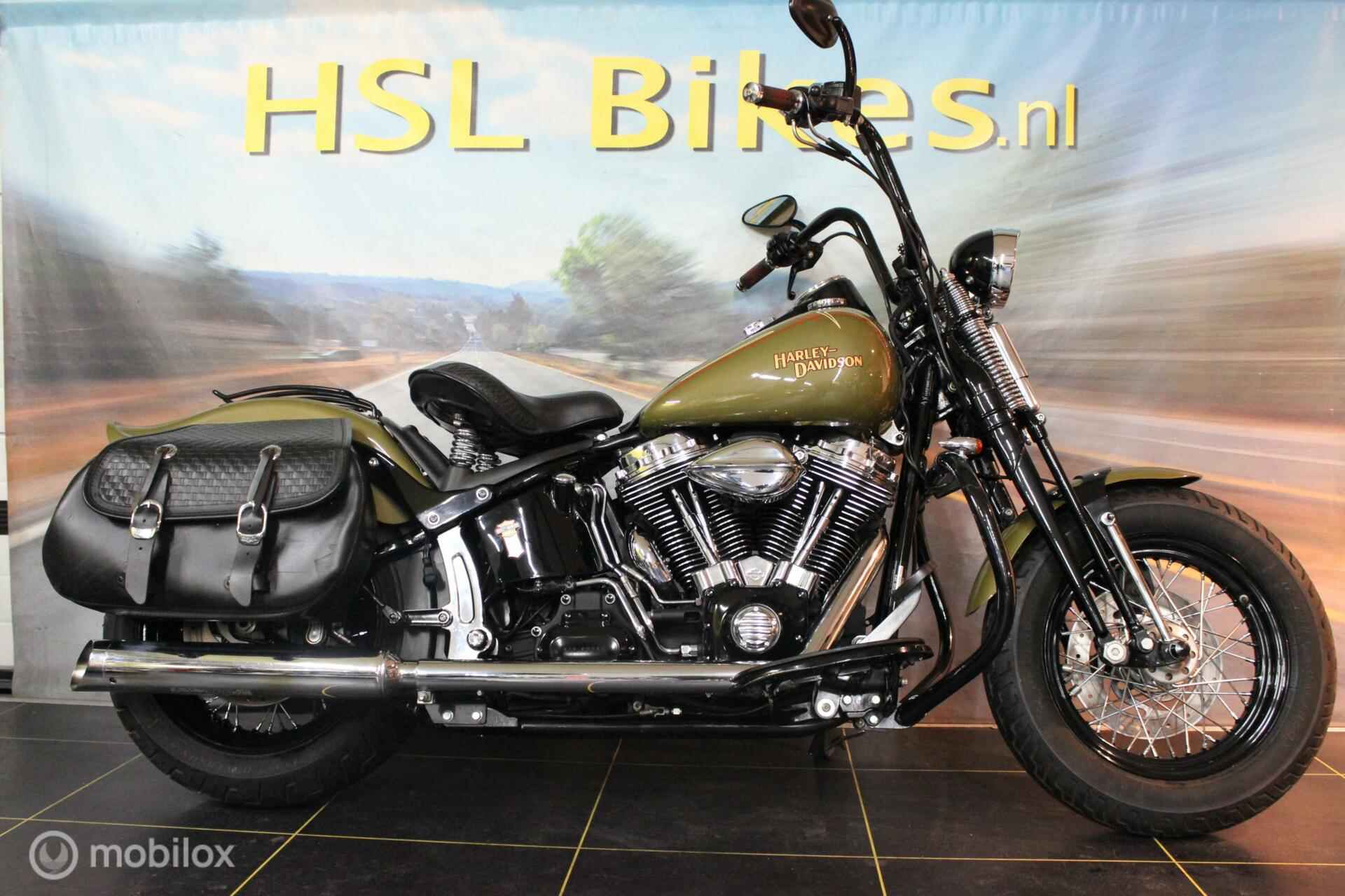 Harley Davidson 96 FLSTSB Cross Bones - 12/12