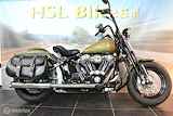 Harley Davidson 96 FLSTSB Cross Bones