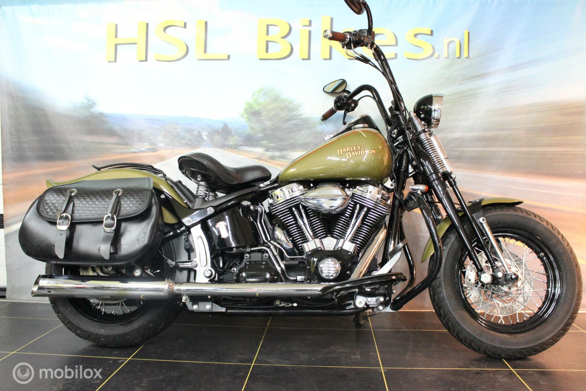 Harley Davidson 96 FLSTSB Cross Bones