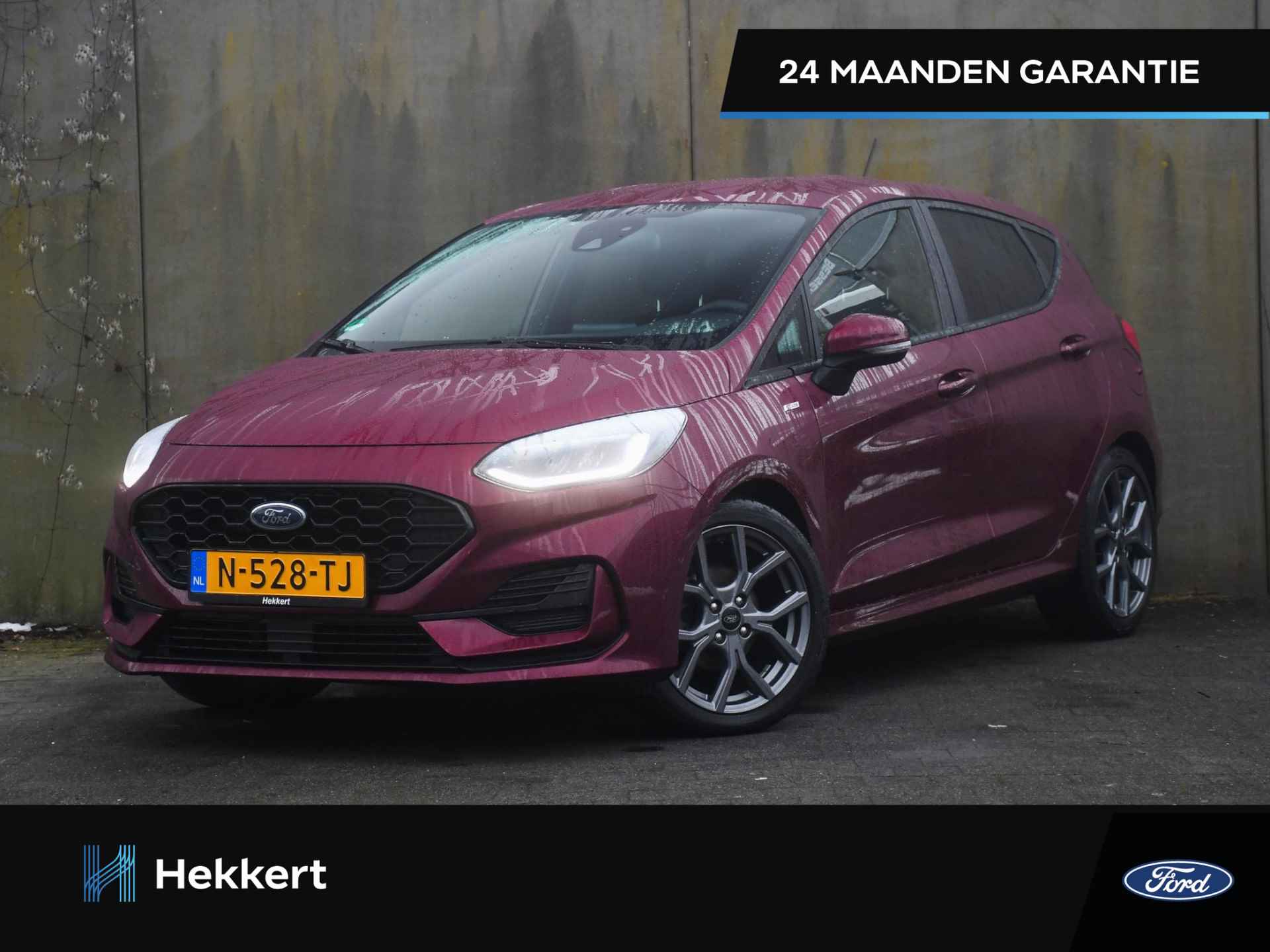 Ford Fiesta BOVAG 40-Puntencheck