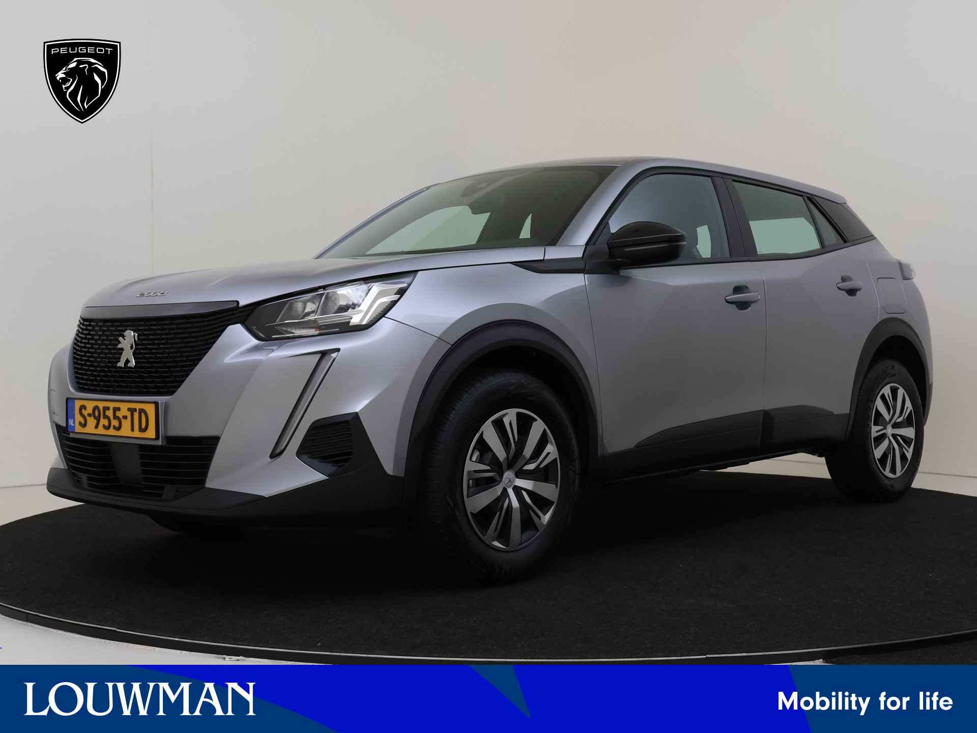 Peugeot 2008 BOVAG 40-Puntencheck