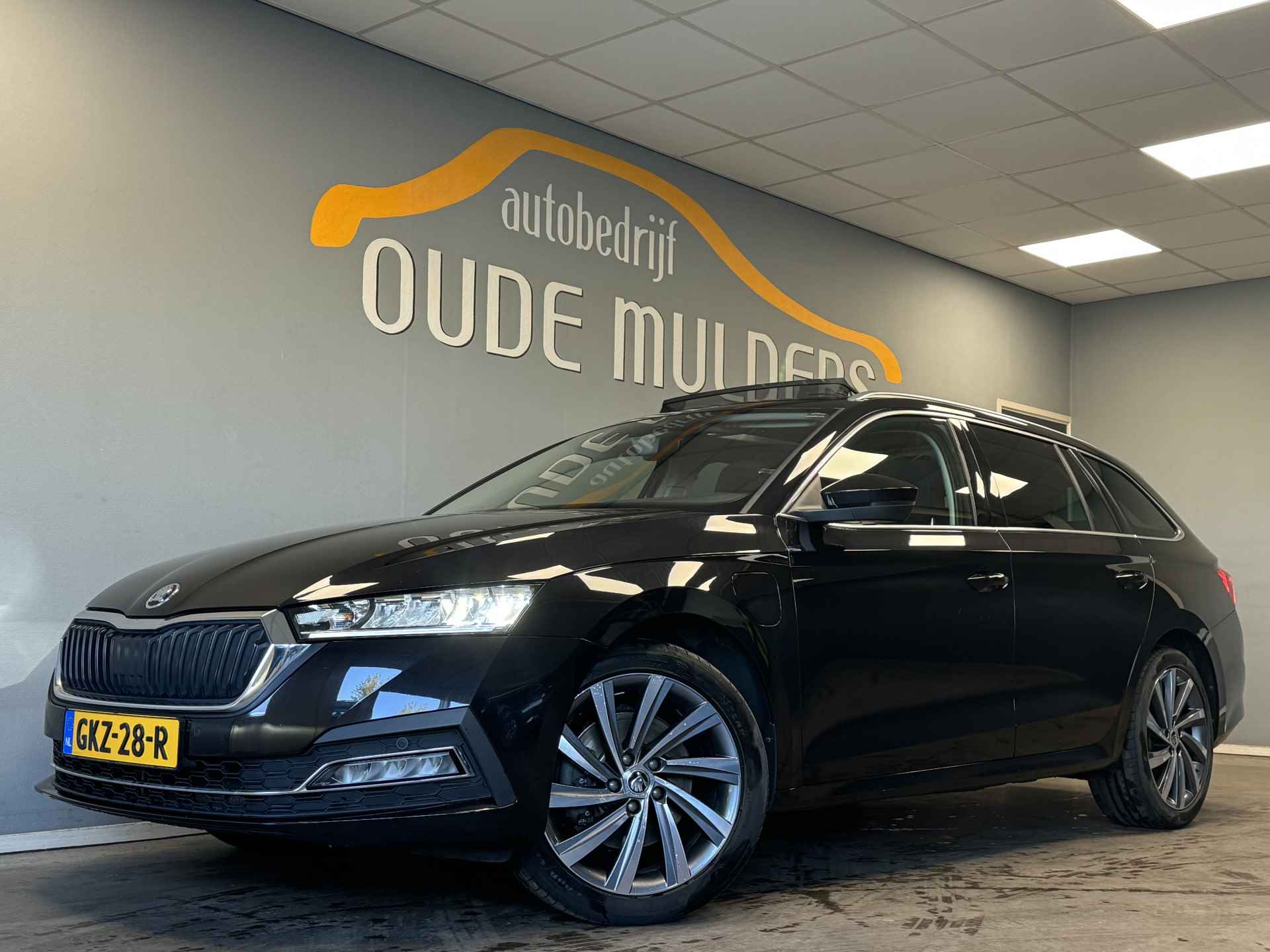 Škoda Octavia BOVAG 40-Puntencheck