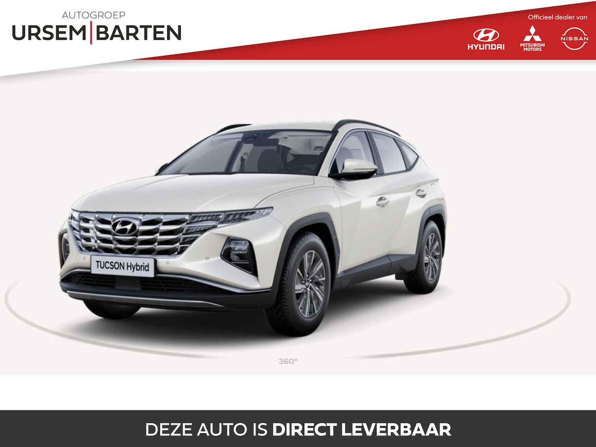 Hyundai Tucson BOVAG 40-Puntencheck