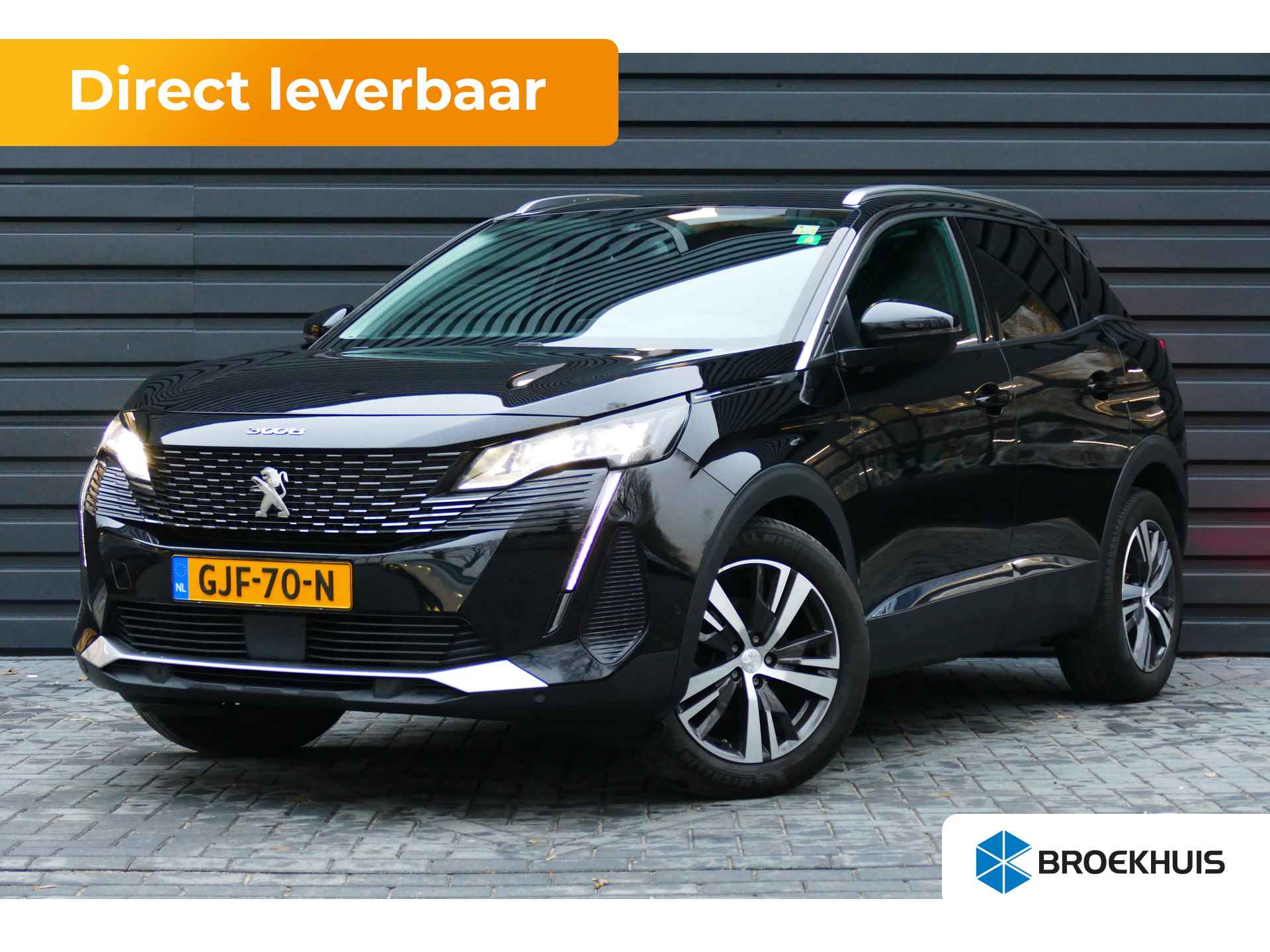 Peugeot 3008 BOVAG 40-Puntencheck