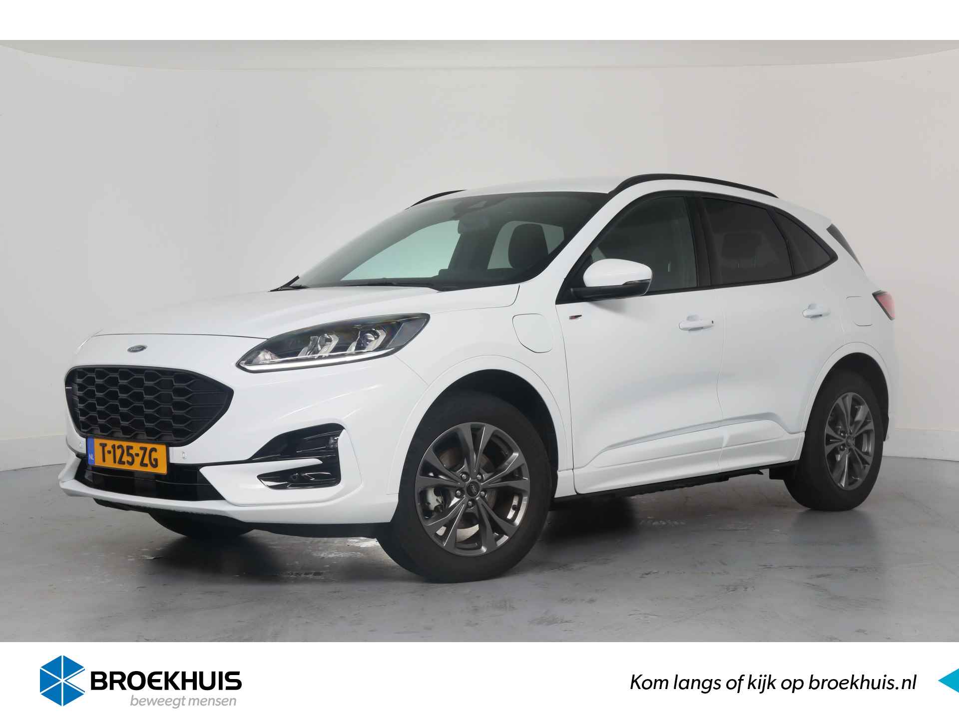 Ford Kuga BOVAG 40-Puntencheck