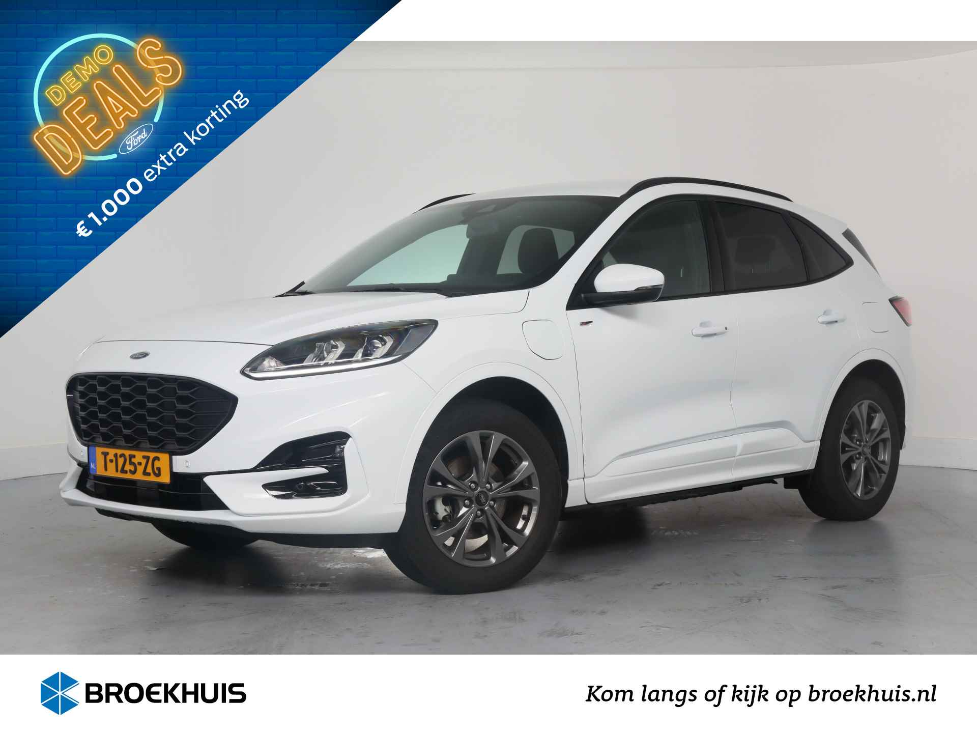 Ford Kuga BOVAG 40-Puntencheck