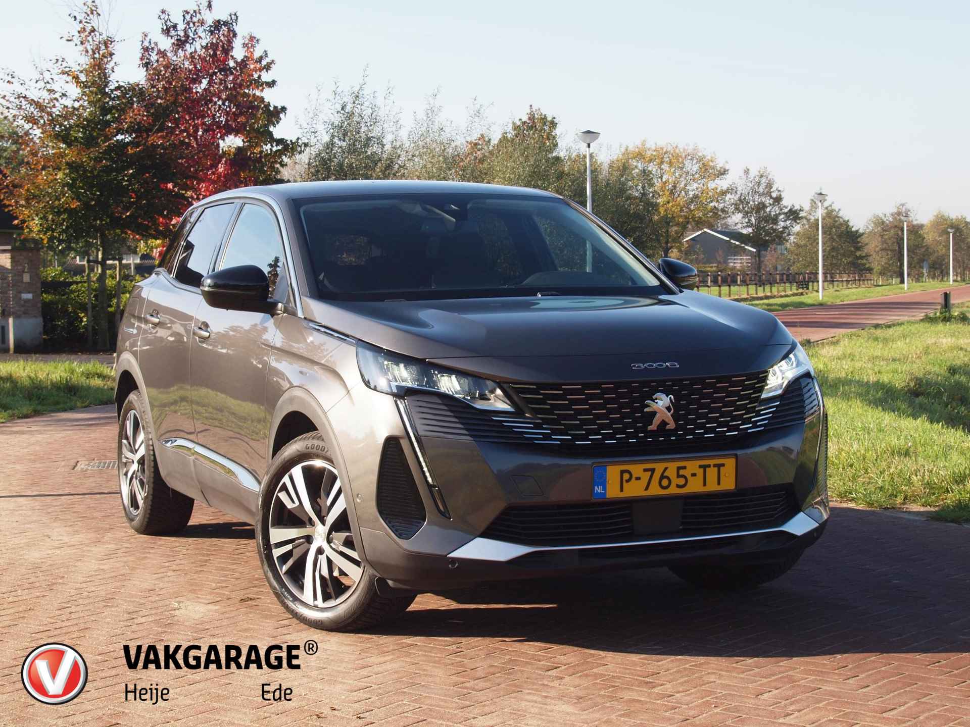 Peugeot 3008 BOVAG 40-Puntencheck