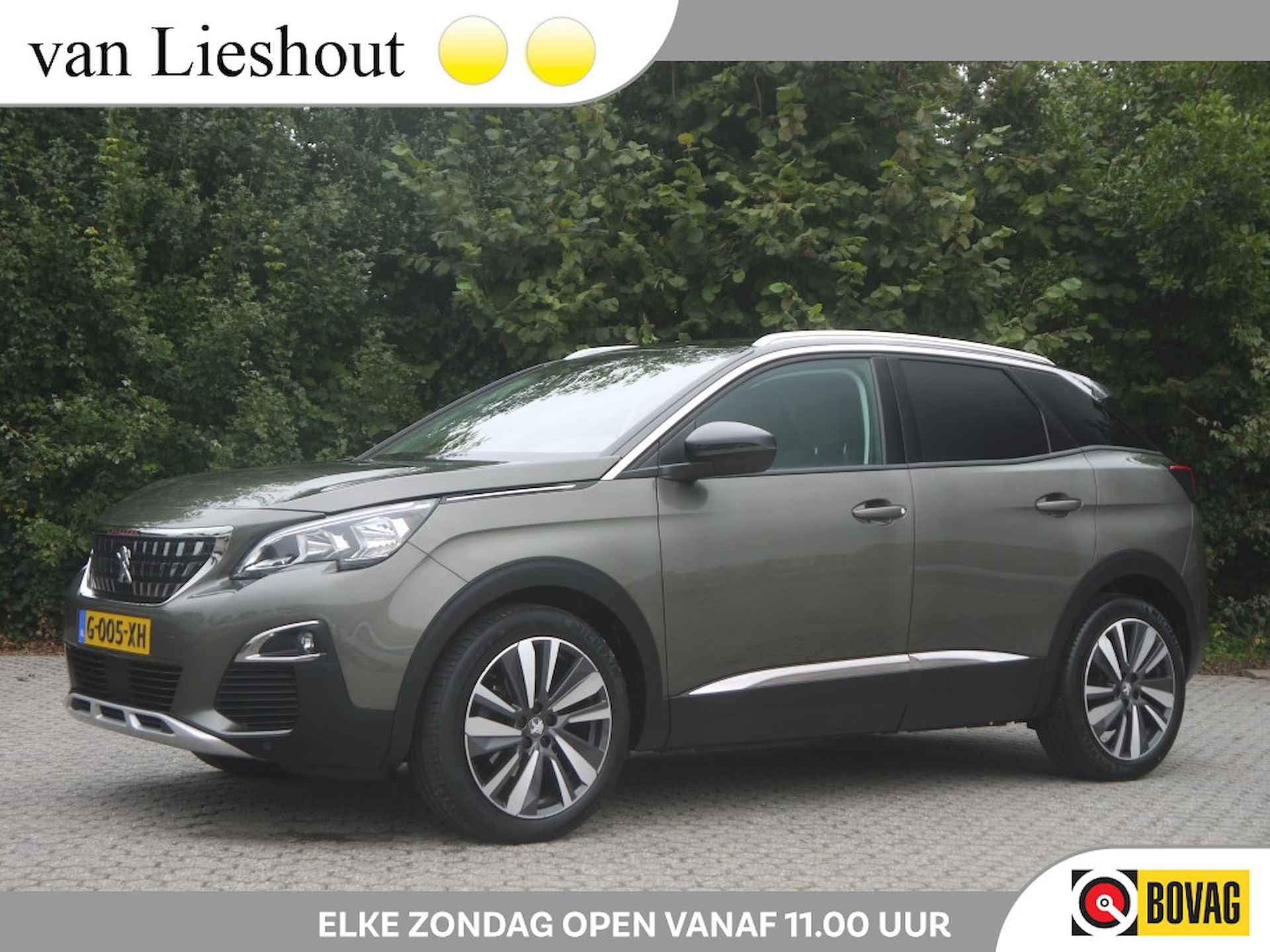 Peugeot 3008 BOVAG 40-Puntencheck