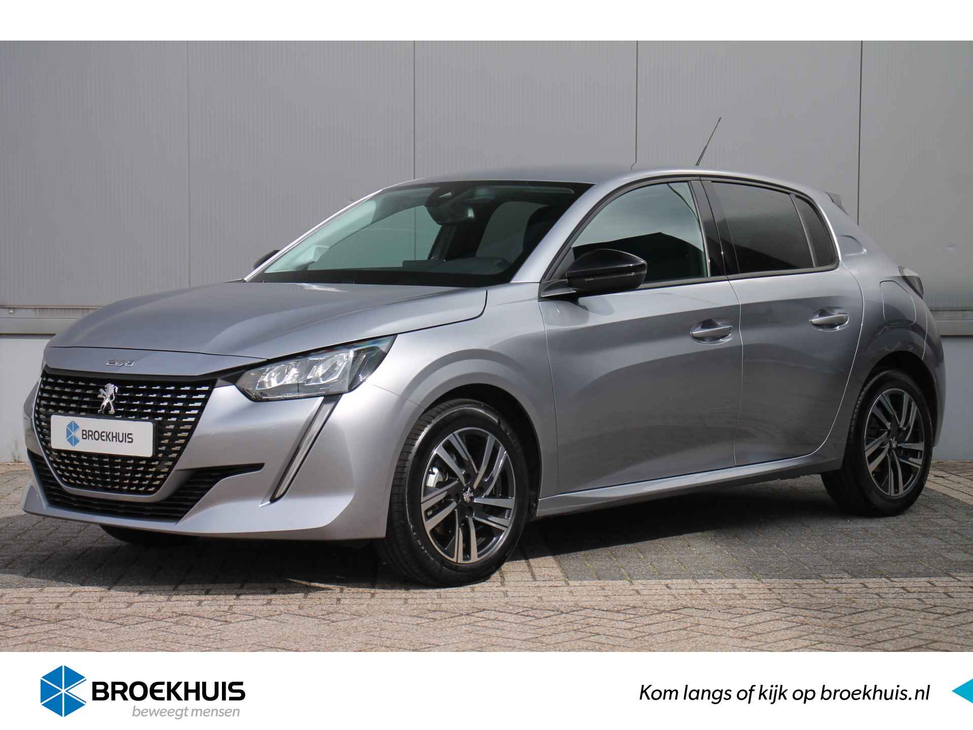 Peugeot 208 BOVAG 40-Puntencheck