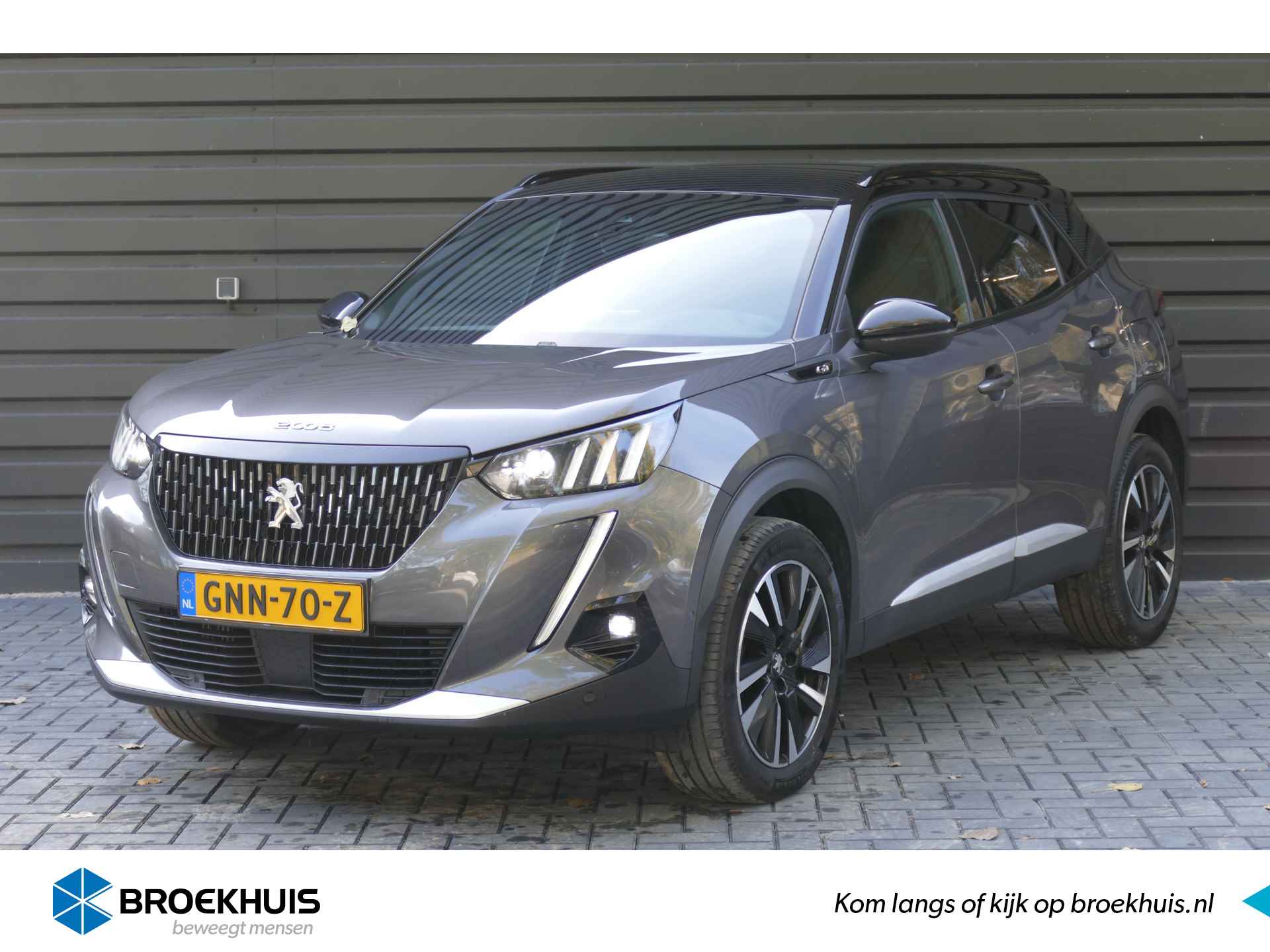 Peugeot 2008 BOVAG 40-Puntencheck