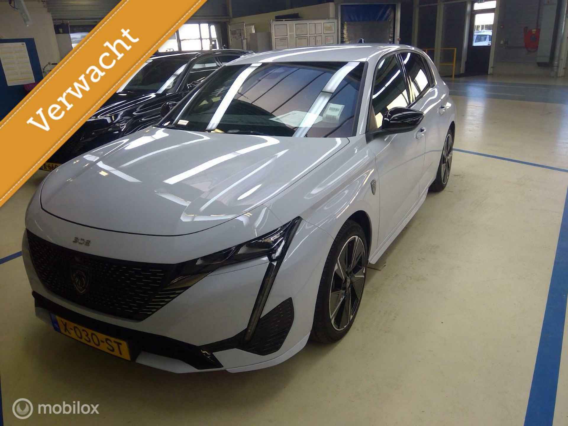 Peugeot e-308 BOVAG 40-Puntencheck