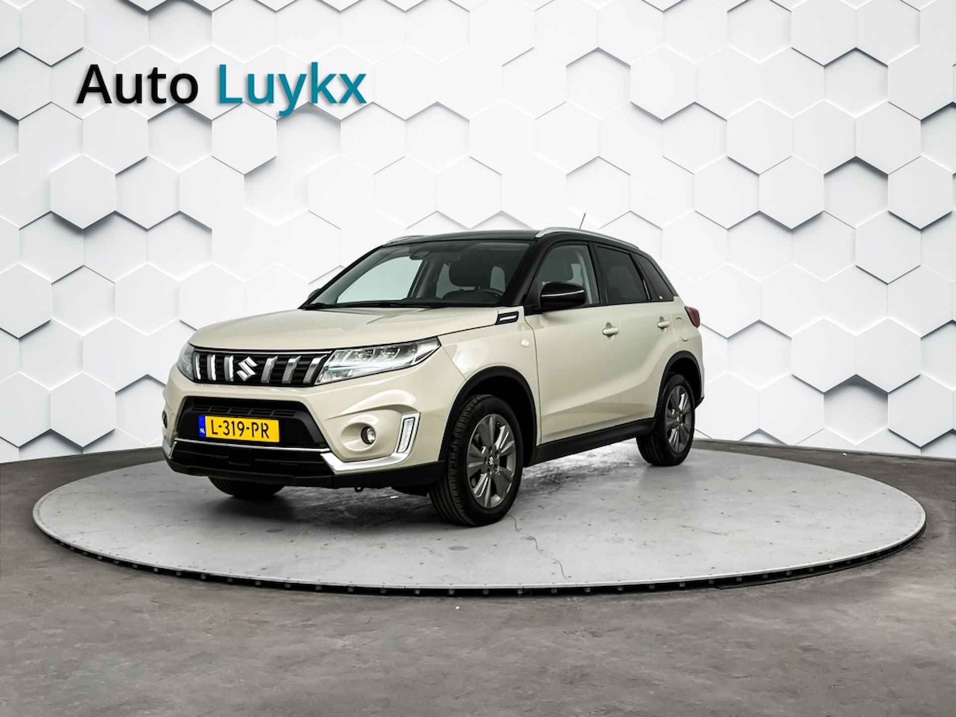 Suzuki Vitara BOVAG 40-Puntencheck