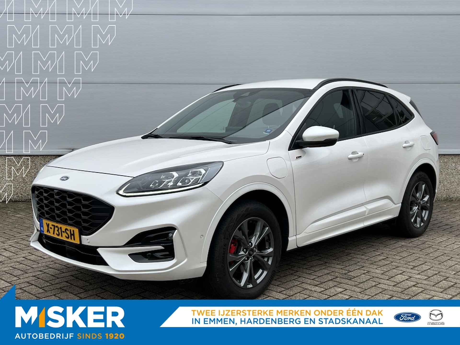 Ford Kuga BOVAG 40-Puntencheck