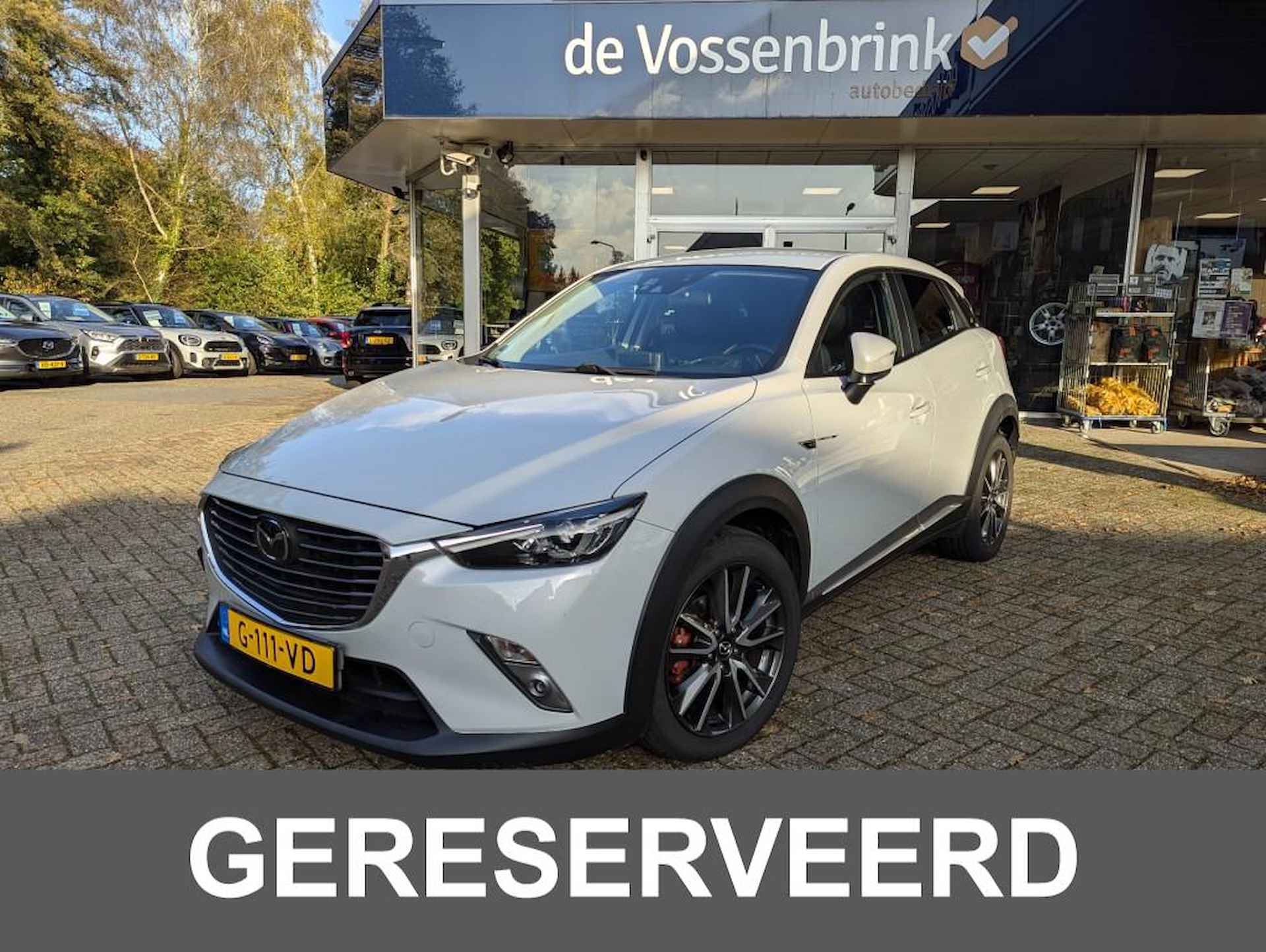 Mazda CX-3 BOVAG 40-Puntencheck