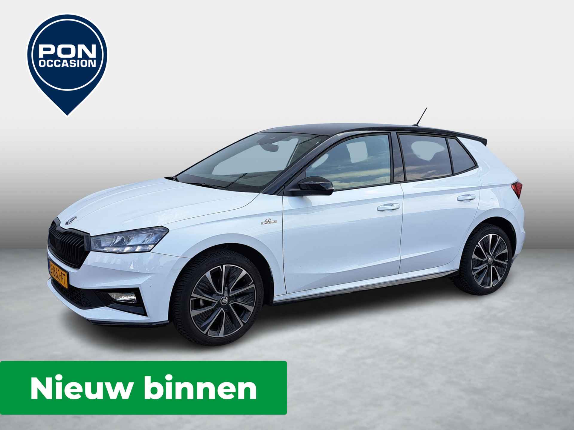 Škoda Fabia BOVAG 40-Puntencheck