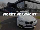 BMW X1 xDrive25e Exe. M Sportpakket Driv.Ass. Nav. Led 18"LM Velgen