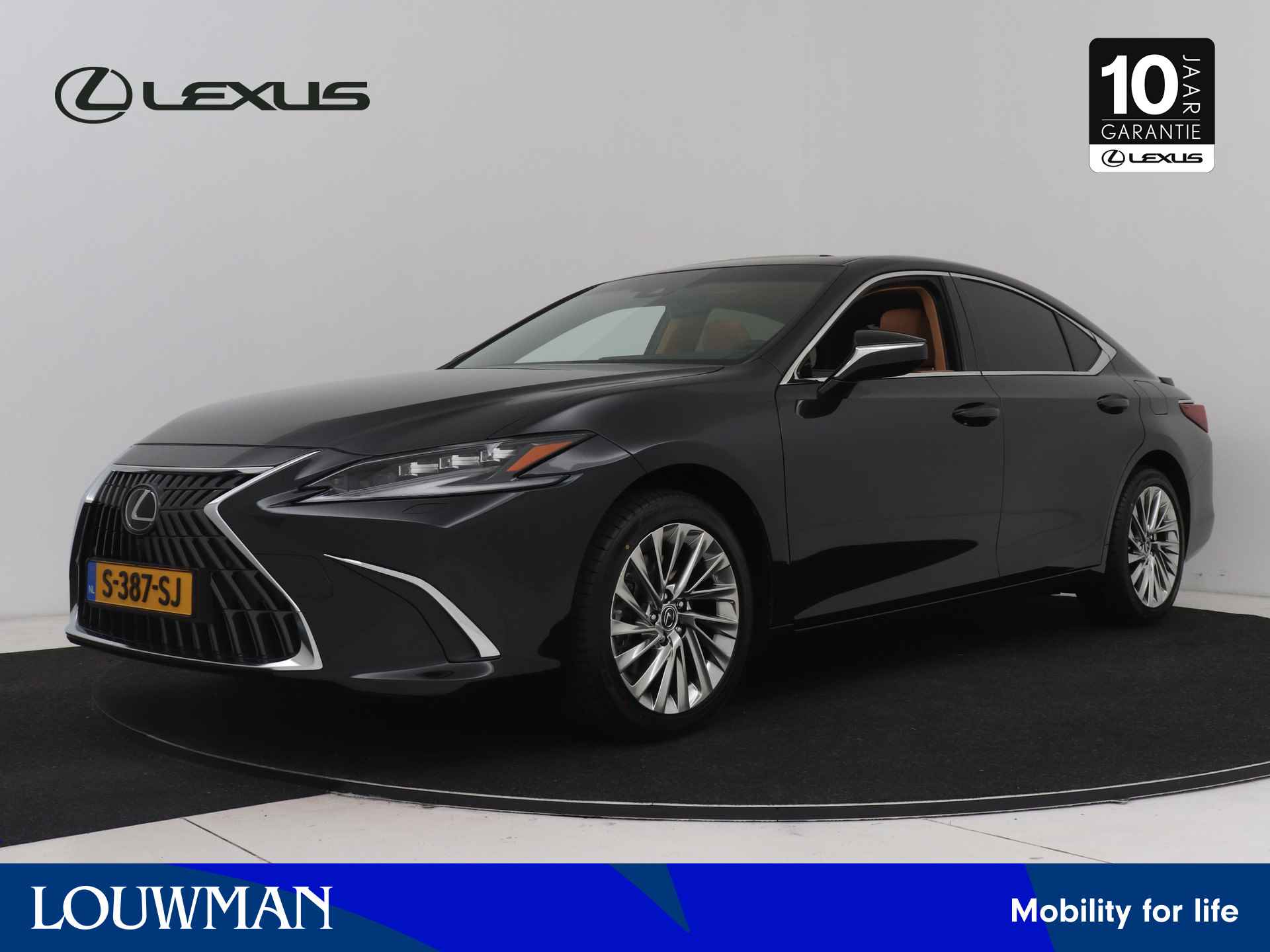 Lexus ES BOVAG 40-Puntencheck