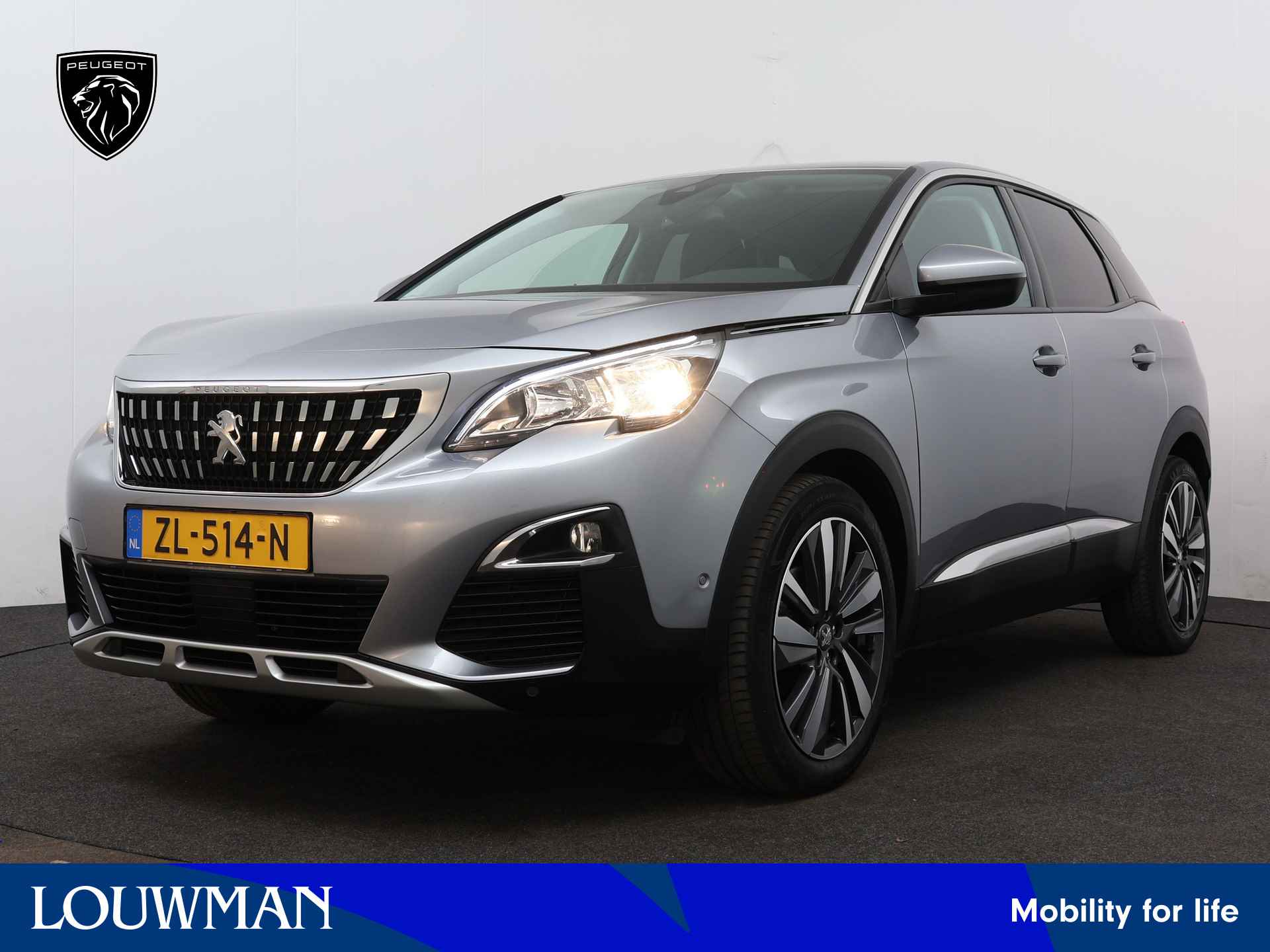 Peugeot 3008 BOVAG 40-Puntencheck