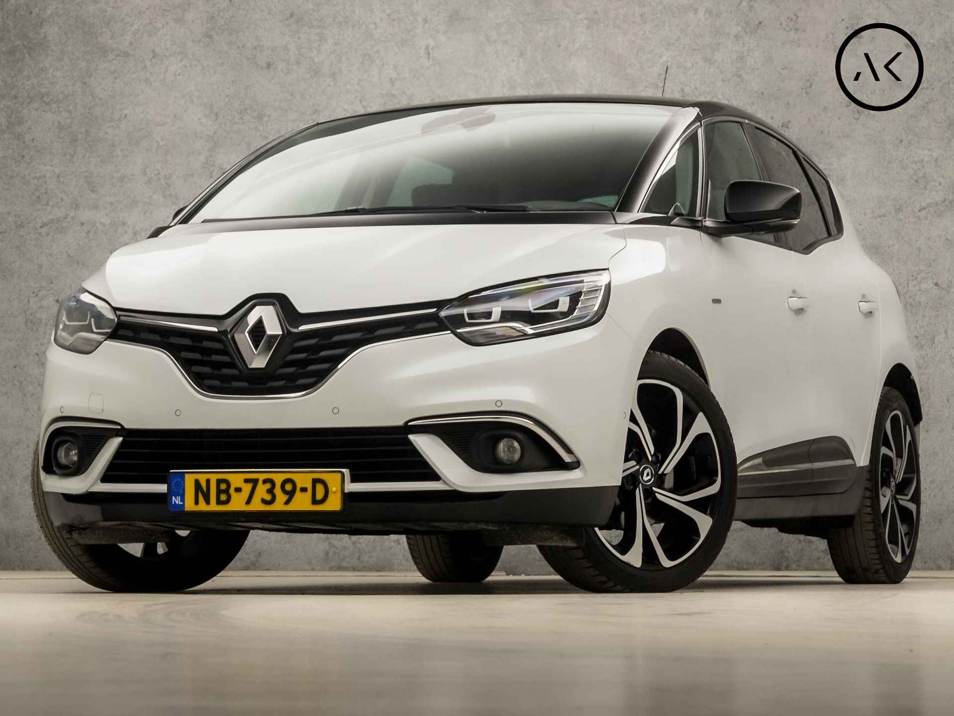 Renault Scénic BOVAG 40-Puntencheck