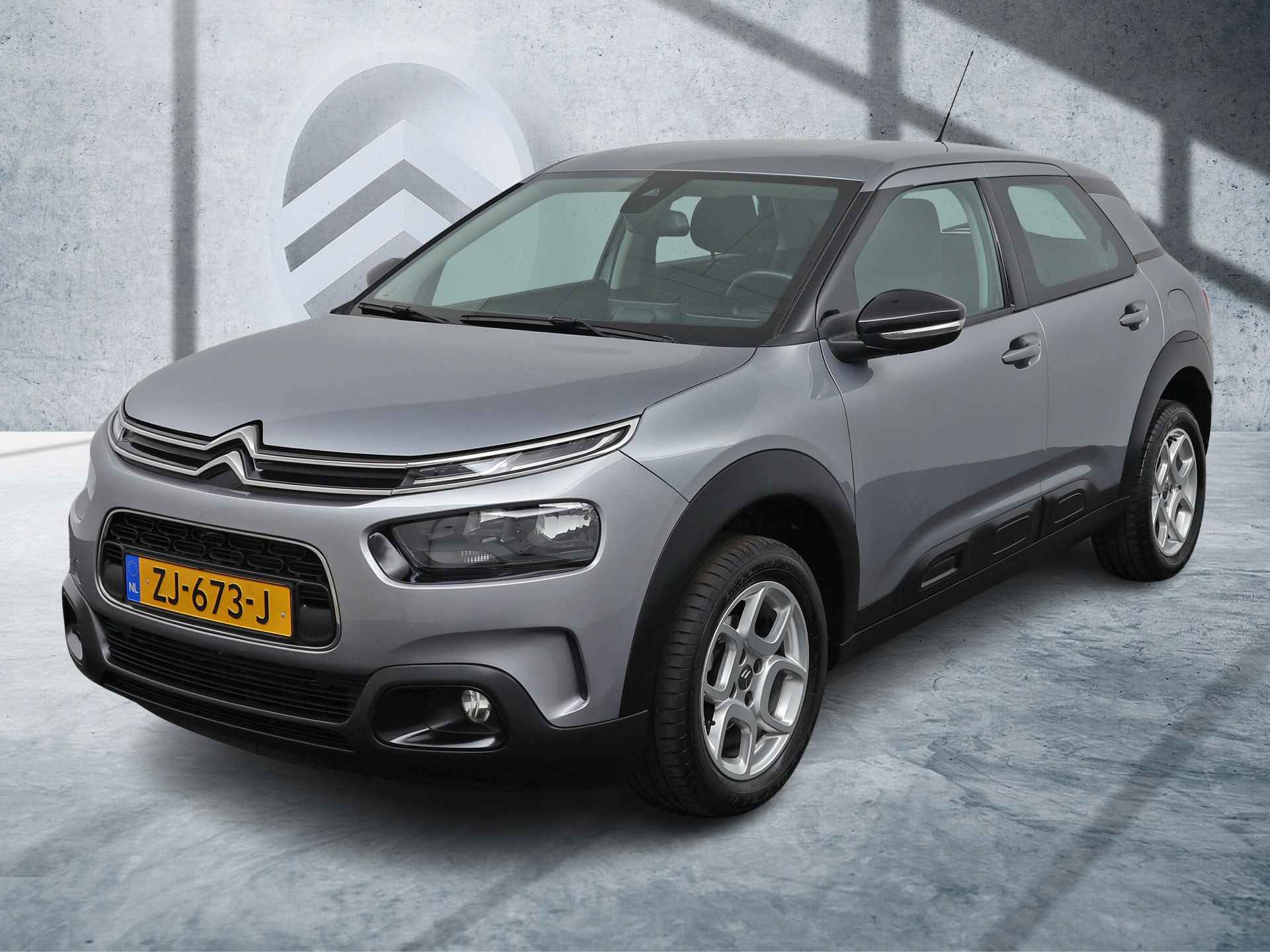 Citroën C4 Cactus BOVAG 40-Puntencheck