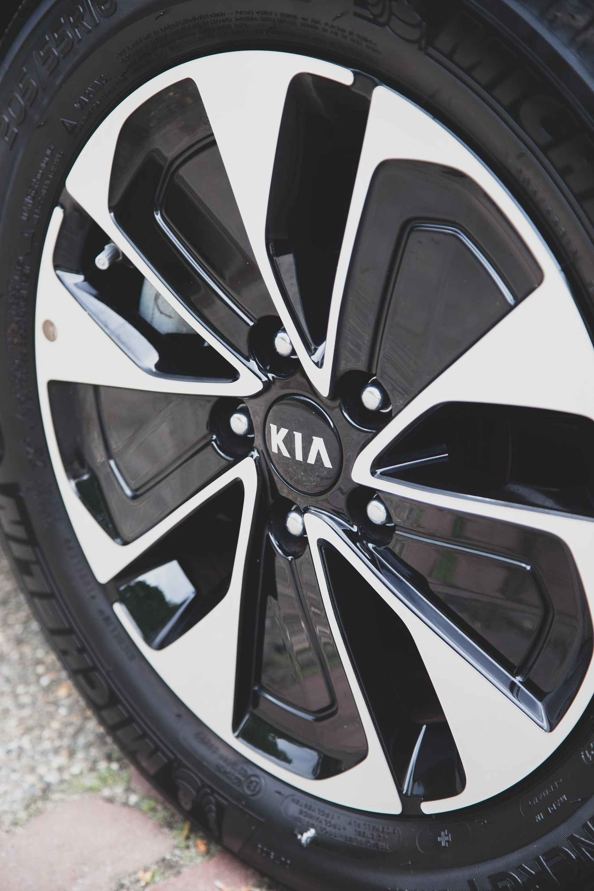 Kia Ceed Sportswagon 1.6 GDI PHEV DynamicLine Adaptive Cruise | Stoel- en stuurverw | Camera | Carplay - 42/45