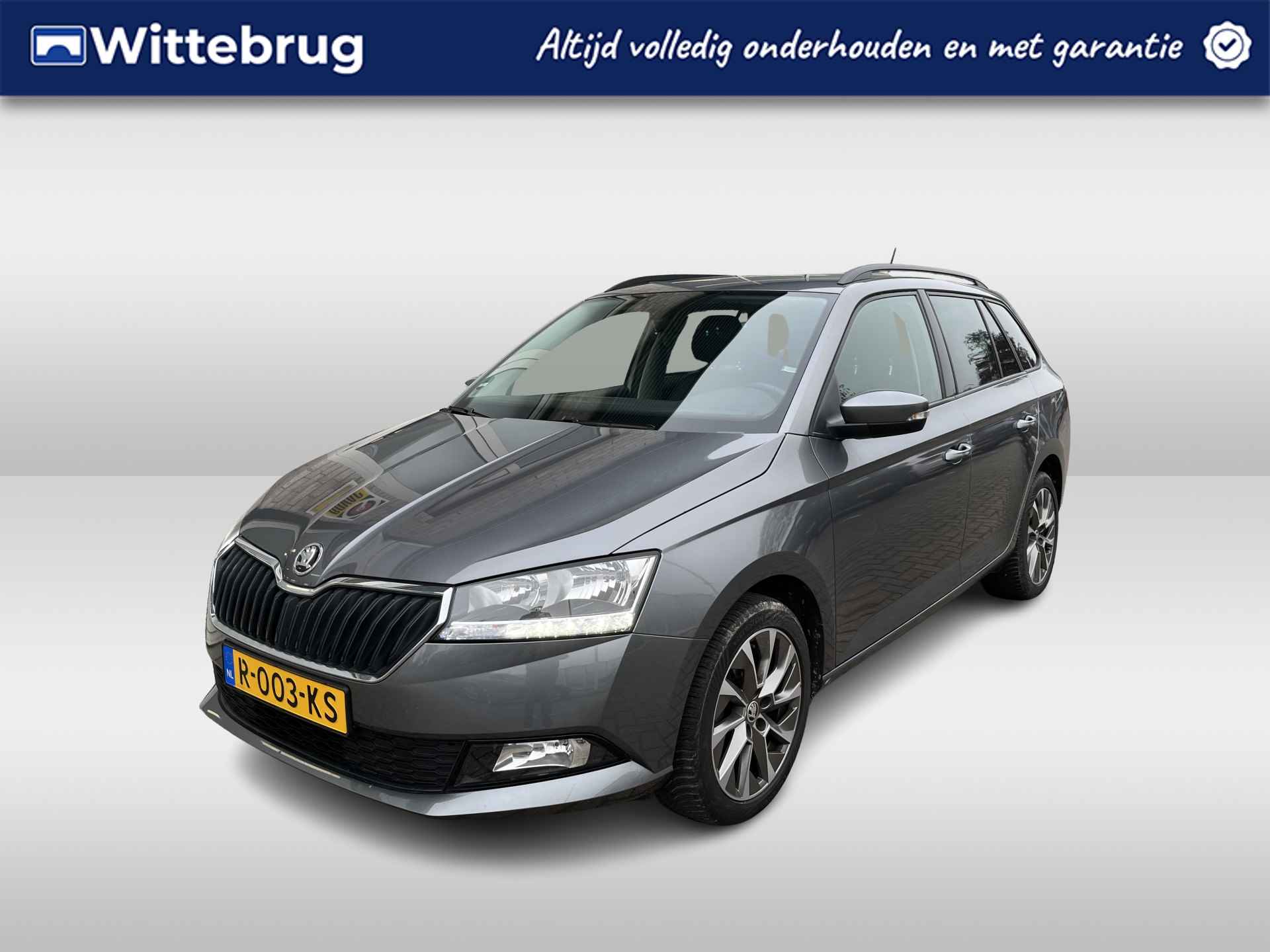 Škoda Fabia BOVAG 40-Puntencheck