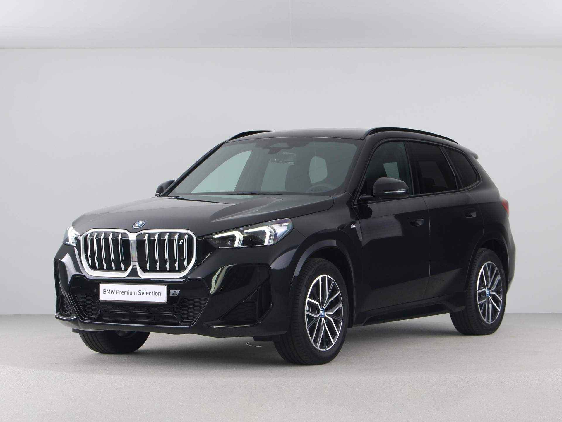 BMW iX1 xDrive30 Launch Edition 67 kWh - 1/23