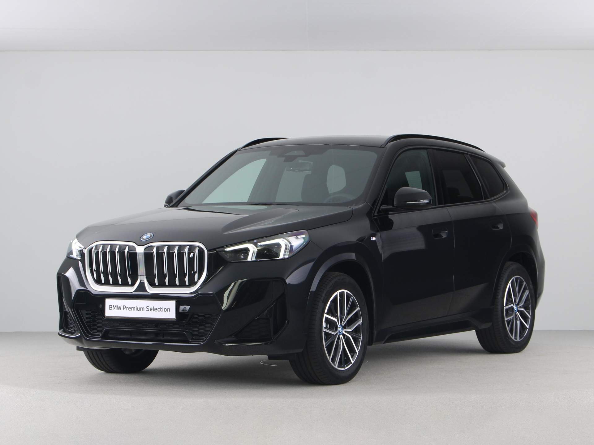 BMW iX1 xDrive30 Launch Edition 67 kWh