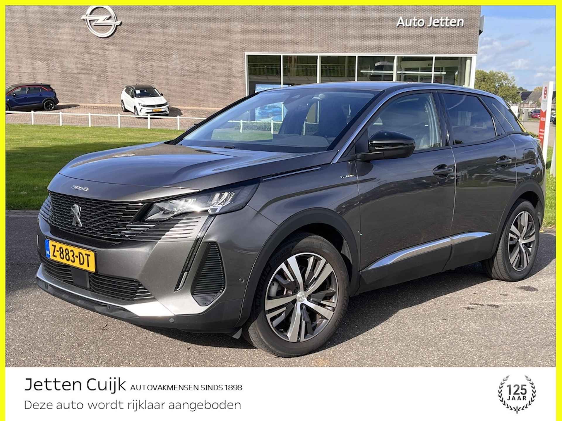 Peugeot 3008 BOVAG 40-Puntencheck